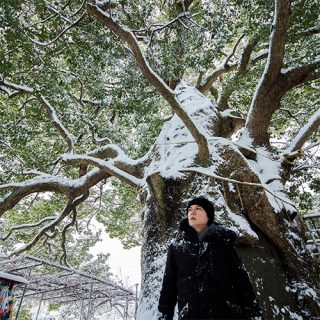福山雅治、“被爆クスノキ”を題材にした楽曲「クスノキ-500年の風に吹かれて-」　6月30日（月）配信開始！